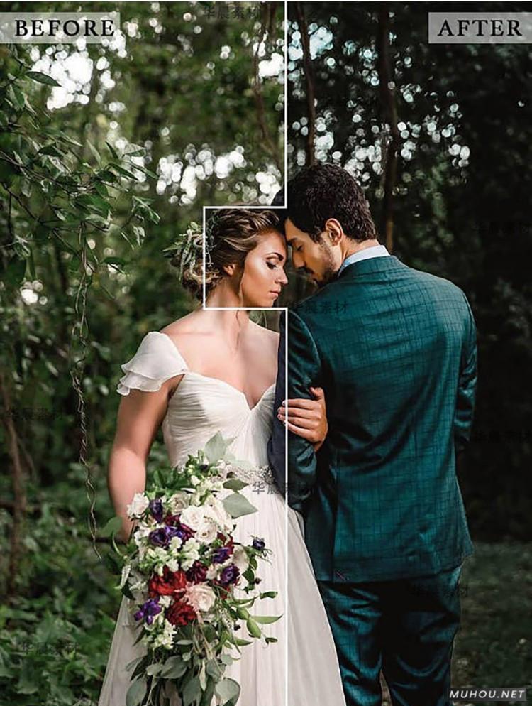 Luts调色预设：视频调色（LR-PR-AE-PS-FCPX-达芬奇）