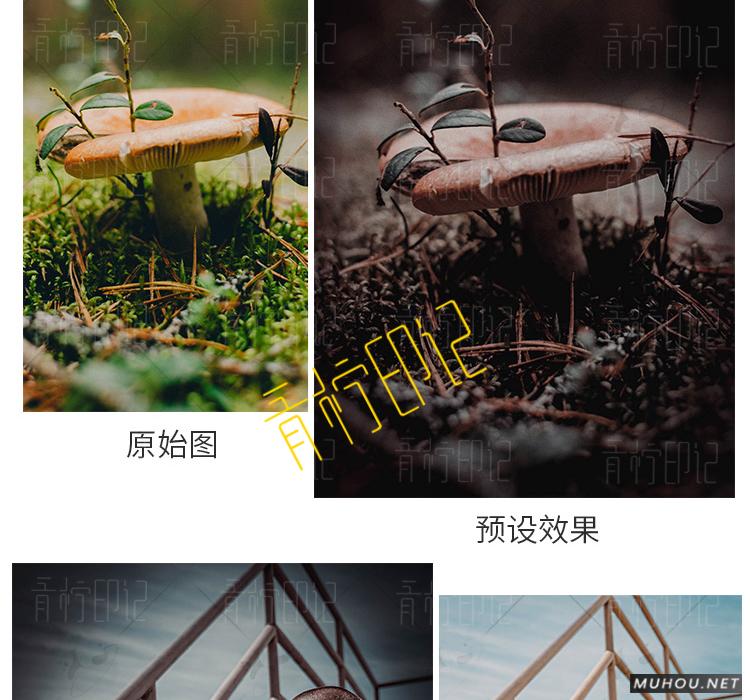 Luts调色预设：视频调色（LR-PR-AE-PS-FCPX-达芬奇）