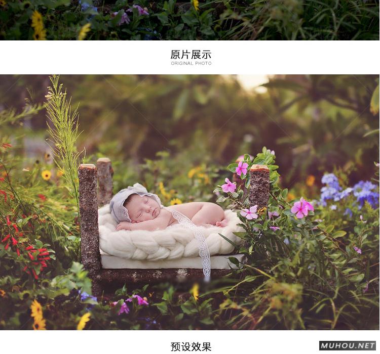 Luts调色预设：视频调色（LR-PR-AE-PS-FCPX-达芬奇）