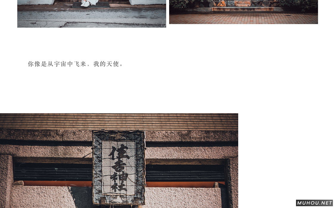 Luts调色预设：视频调色（LR-PR-AE-PS-FCPX-达芬奇）