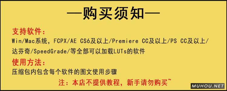 Luts调色预设：视频调色（LR-PR-AE-PS-FCPX-达芬奇）