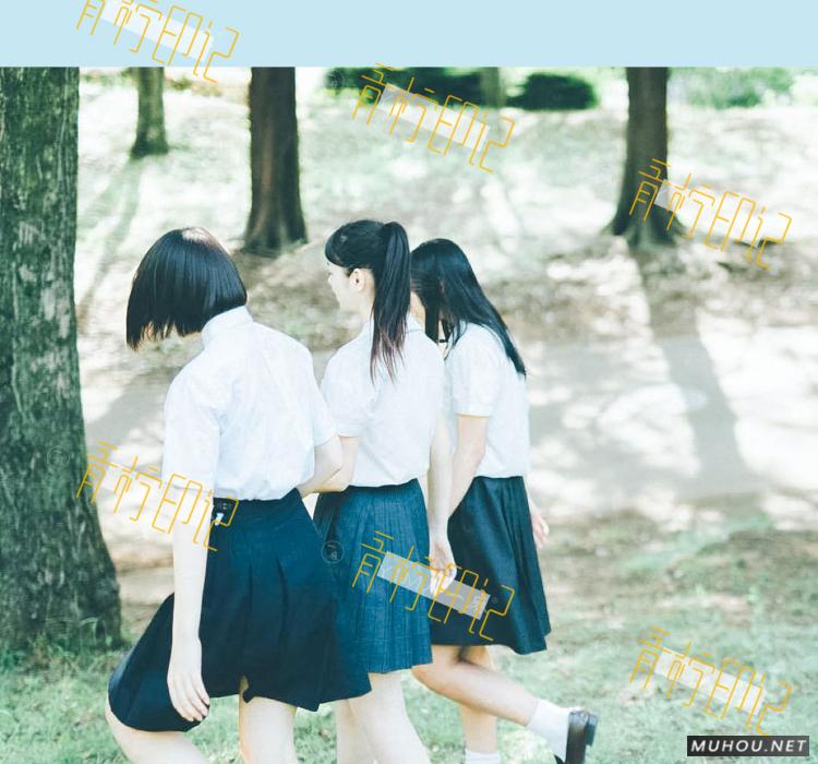 Luts调色预设：视频调色（LR-PR-AE-PS-FCPX-达芬奇）