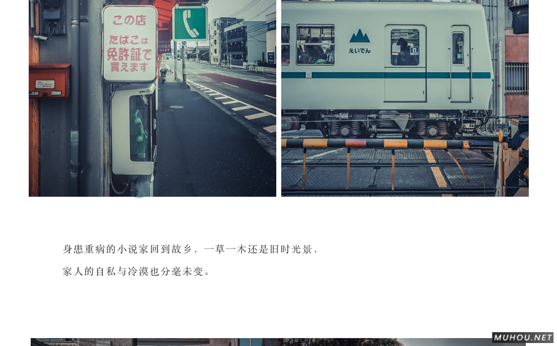 Luts调色预设：视频调色（LR-PR-AE-PS-FCPX-达芬奇）