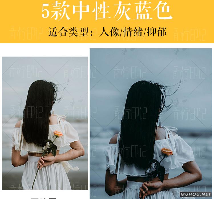 Luts调色预设：视频调色（LR-PR-AE-PS-FCPX-达芬奇）