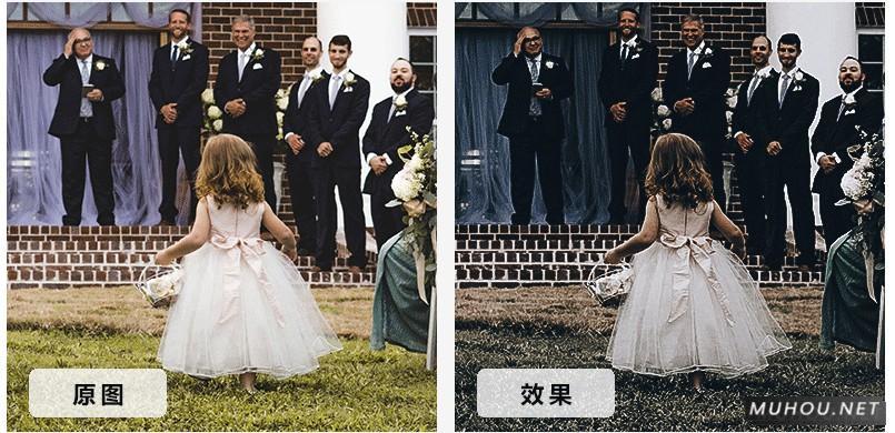 Luts调色预设：10套欧式复古婚礼效果视频调色（LR-PR-AE-PS-FCPX-达芬奇）插图