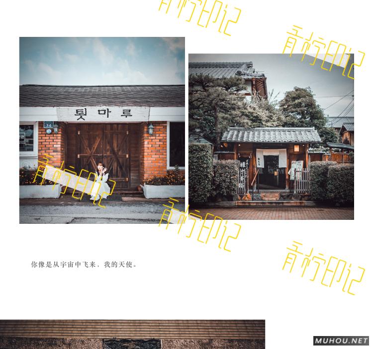 Luts调色预设：30组复古电影历史胶片预设视频调色滤镜（LR-PR-AE-PS-FCPX-达芬奇）