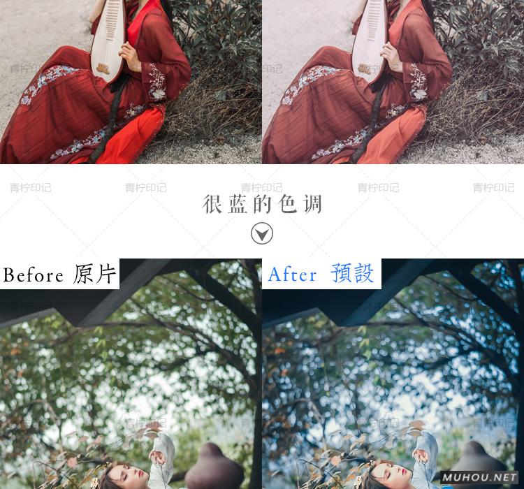 Luts调色预设：视频调色（LR-PR-AE-PS-FCPX-达芬奇）