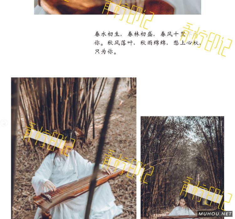 Luts调色预设：视频调色（LR-PR-AE-PS-FCPX-达芬奇）