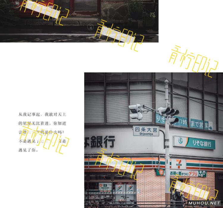 Luts调色预设：30组复古电影历史胶片预设视频调色滤镜（LR-PR-AE-PS-FCPX-达芬奇）