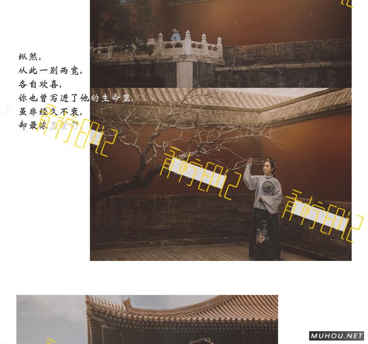 Luts调色预设：视频调色（LR-PR-AE-PS-FCPX-达芬奇）
