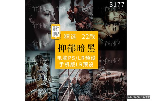 Luts调色预设：视频调色（LR-PR-AE-PS-FCPX-达芬奇）