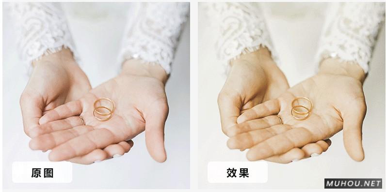 Luts调色预设：10套欧式复古婚礼效果视频调色（LR-PR-AE-PS-FCPX-达芬奇）插图5