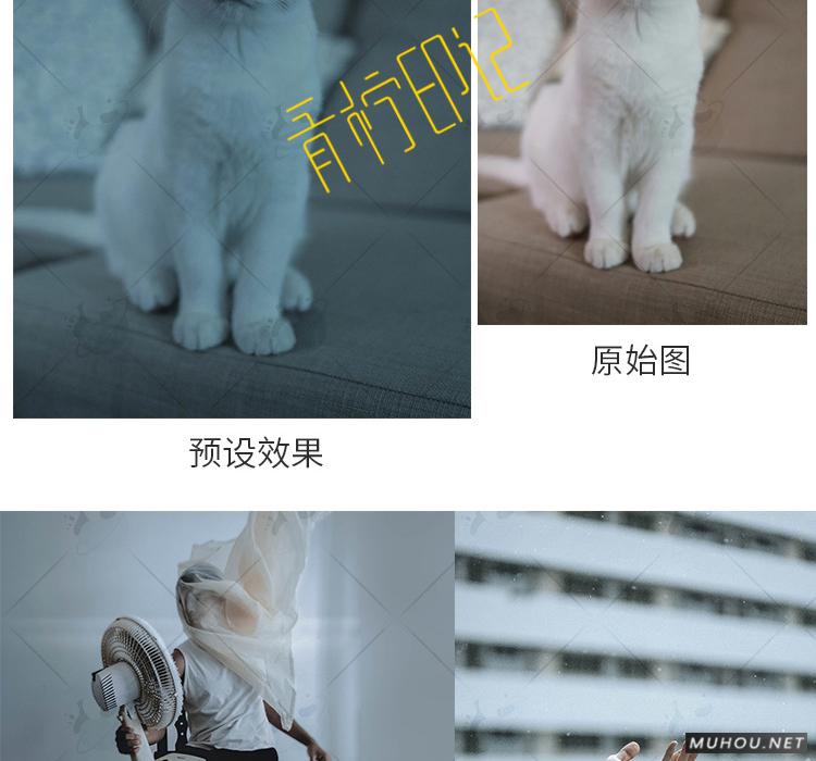 Luts调色预设：视频调色（LR-PR-AE-PS-FCPX-达芬奇）