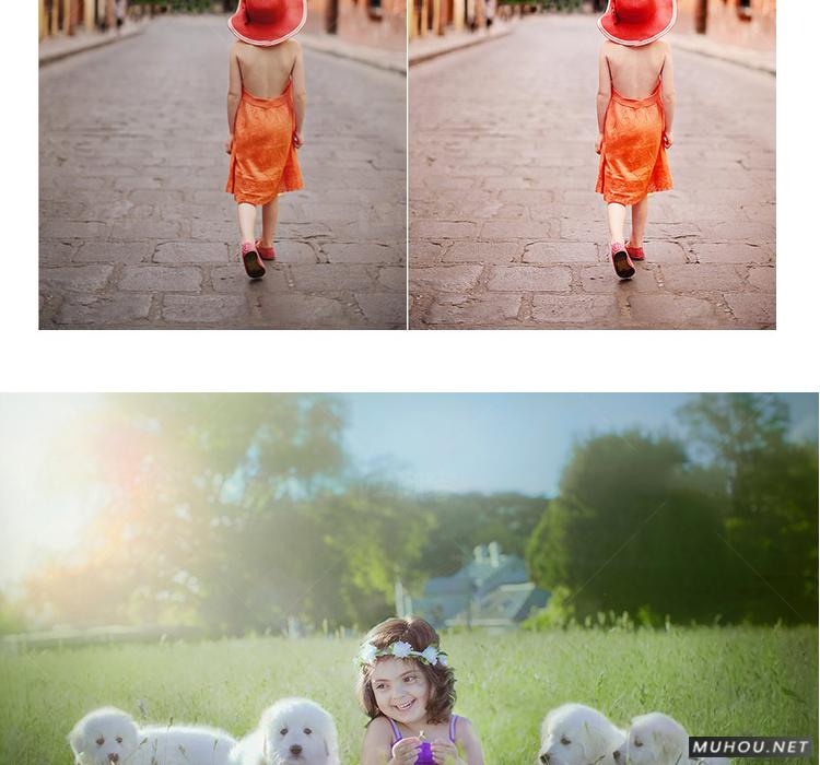 Luts调色预设：视频调色（LR-PR-AE-PS-FCPX-达芬奇）