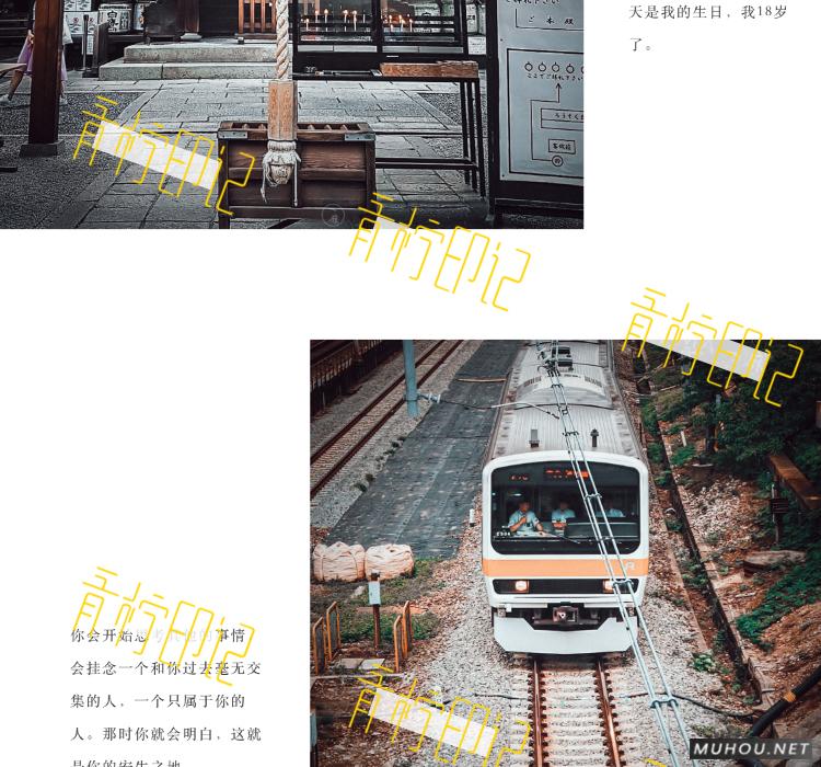 Luts调色预设：30组复古电影历史胶片预设视频调色滤镜（LR-PR-AE-PS-FCPX-达芬奇）