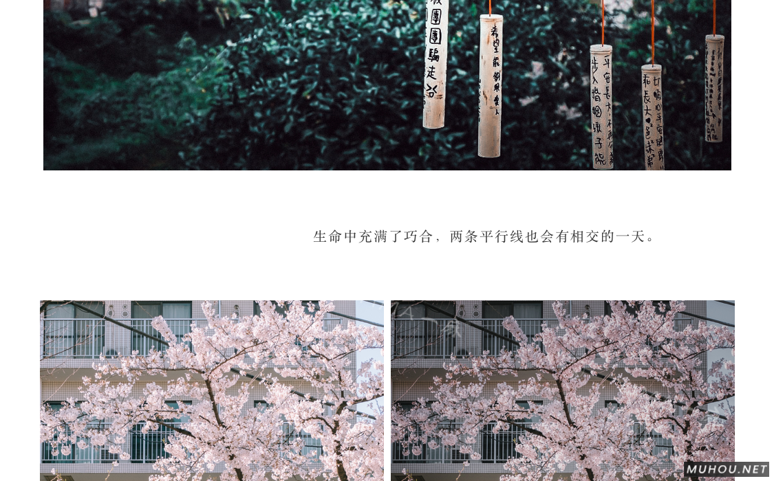 Luts调色预设：视频调色（LR-PR-AE-PS-FCPX-达芬奇）