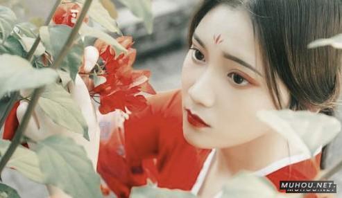 Luts调色预设：中国风复古汉服古风小姐姐视频照片调色滤镜（LR-PR-AE-PS-FCPX-达芬奇）
