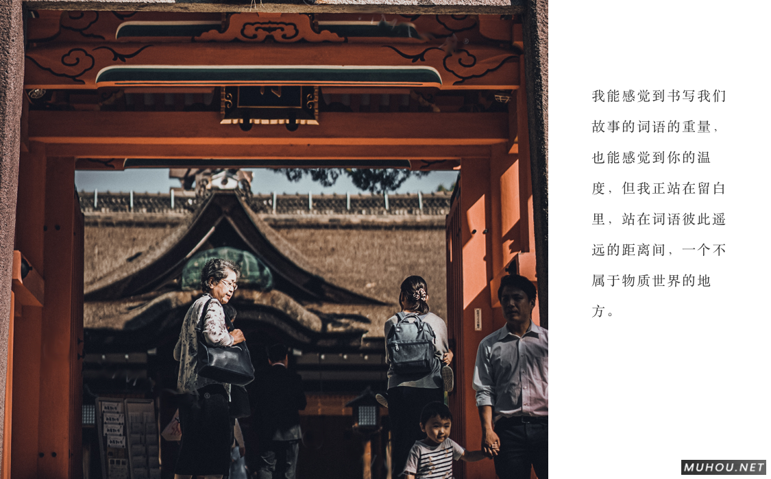 Luts调色预设：视频调色（LR-PR-AE-PS-FCPX-达芬奇）