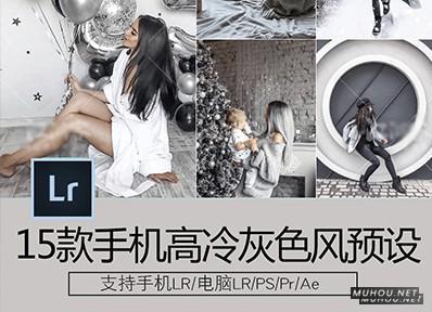 Luts调色预设：INS高级灰预设15组视频调色滤镜（LR-PR-AE-PS-FCPX-达芬奇）插图