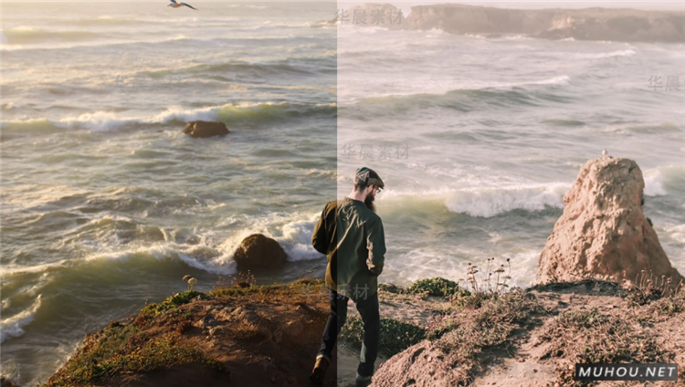 Luts调色预设：12条冷色调人像视频调色（LR-PR-AE-PS-FCPX-达芬奇）