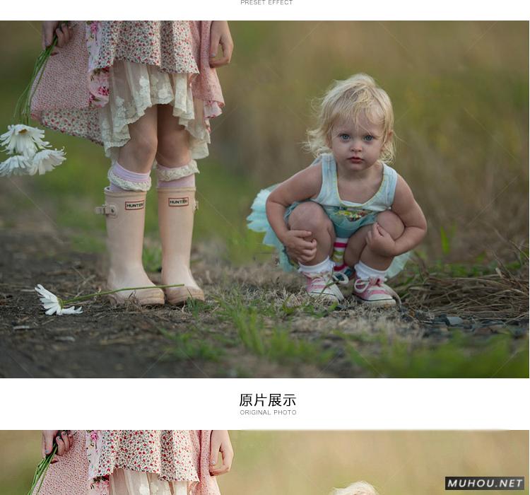 Luts调色预设：视频调色（LR-PR-AE-PS-FCPX-达芬奇）