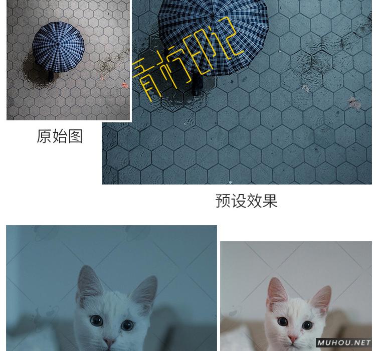 Luts调色预设：视频调色（LR-PR-AE-PS-FCPX-达芬奇）