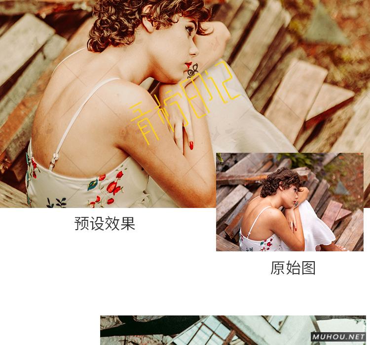 Luts调色预设：视频调色（LR-PR-AE-PS-FCPX-达芬奇）