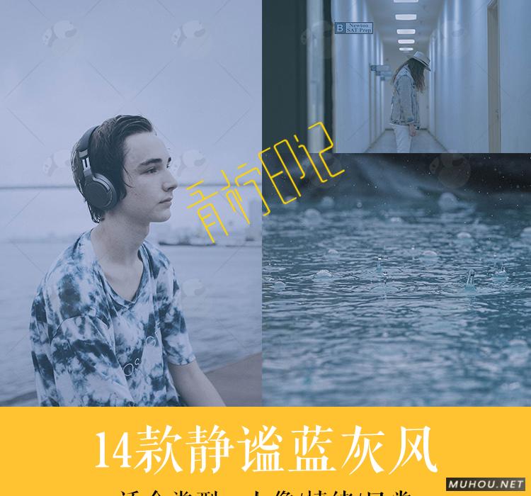 Luts调色预设：视频调色（LR-PR-AE-PS-FCPX-达芬奇）