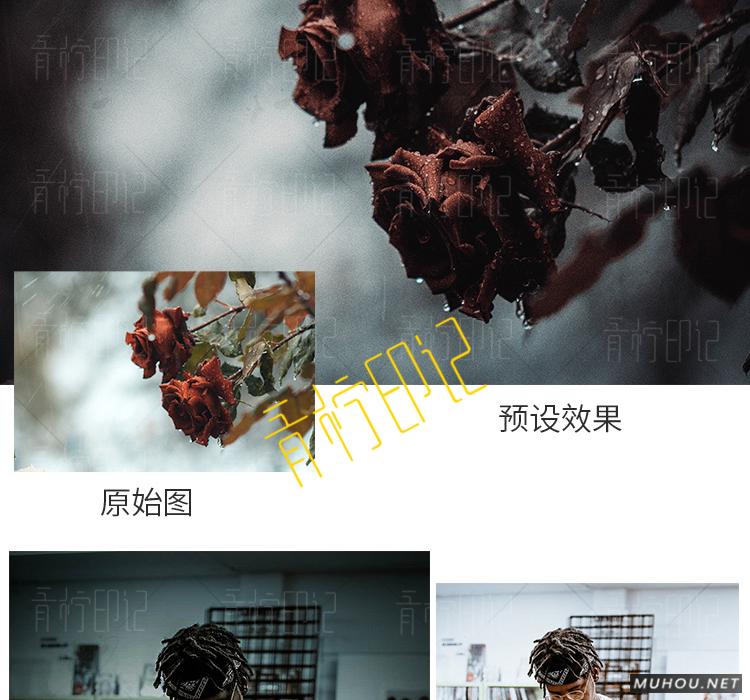 Luts调色预设：视频调色（LR-PR-AE-PS-FCPX-达芬奇）