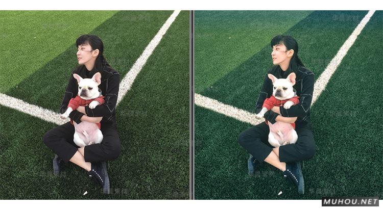 Luts调色预设：视频调色（LR-PR-AE-PS-FCPX-达芬奇）