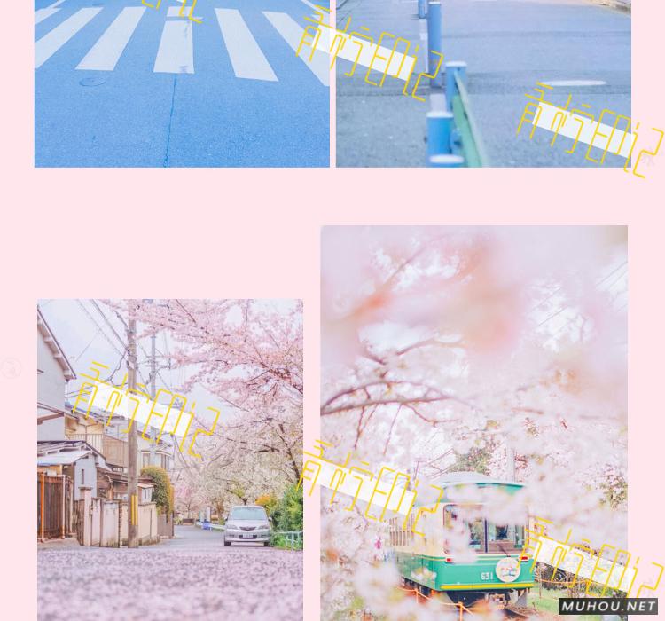 Luts调色预设：视频调色（LR-PR-AE-PS-FCPX-达芬奇）