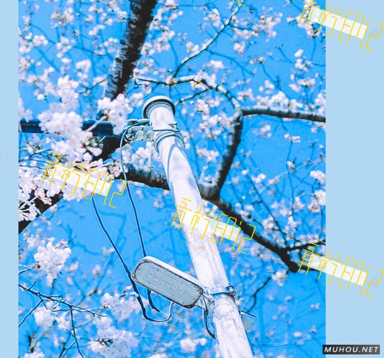 Luts调色预设：视频调色（LR-PR-AE-PS-FCPX-达芬奇）