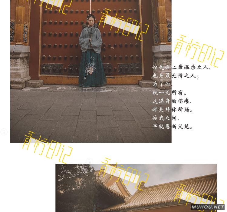 Luts调色预设：视频调色（LR-PR-AE-PS-FCPX-达芬奇）