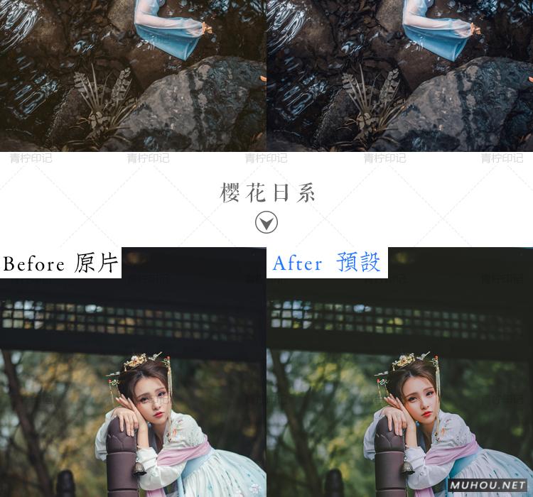 Luts调色预设：视频调色（LR-PR-AE-PS-FCPX-达芬奇）