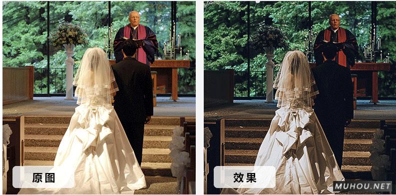 Luts调色预设：10套欧式复古婚礼效果视频调色（LR-PR-AE-PS-FCPX-达芬奇）插图3