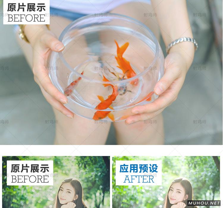 Luts调色预设：视频调色（LR-PR-AE-PS-FCPX-达芬奇）