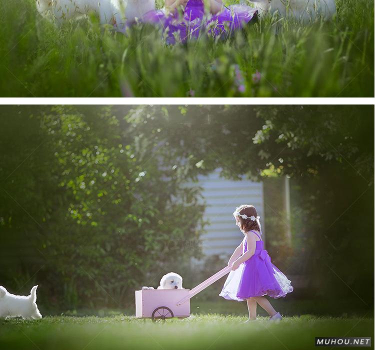 Luts调色预设：视频调色（LR-PR-AE-PS-FCPX-达芬奇）