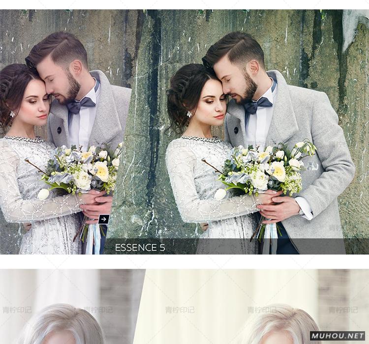 Luts调色预设：视频调色（LR-PR-AE-PS-FCPX-达芬奇）