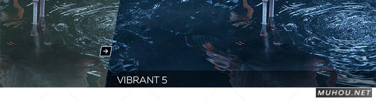 Luts调色预设：视频调色（LR-PR-AE-PS-FCPX-达芬奇）