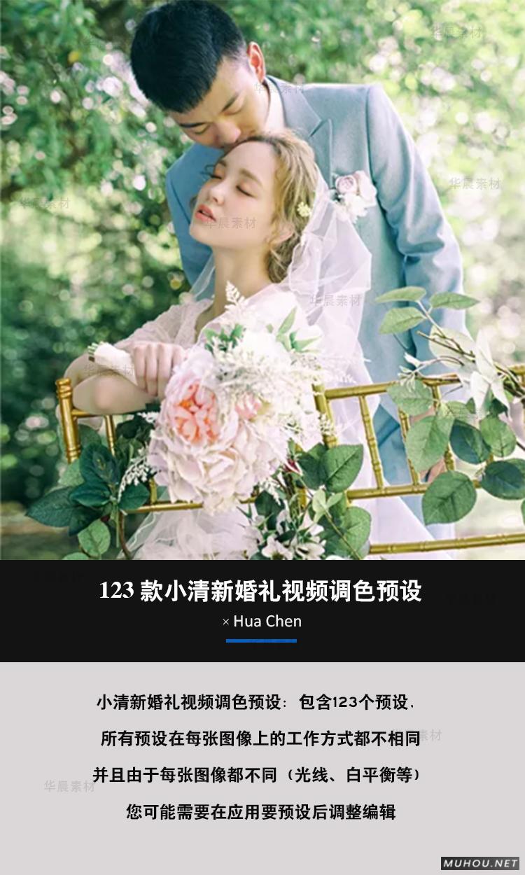 Luts调色预设：视频调色（LR-PR-AE-PS-FCPX-达芬奇）