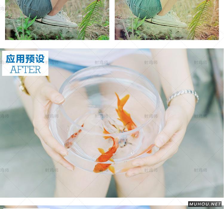 Luts调色预设：视频调色（LR-PR-AE-PS-FCPX-达芬奇）