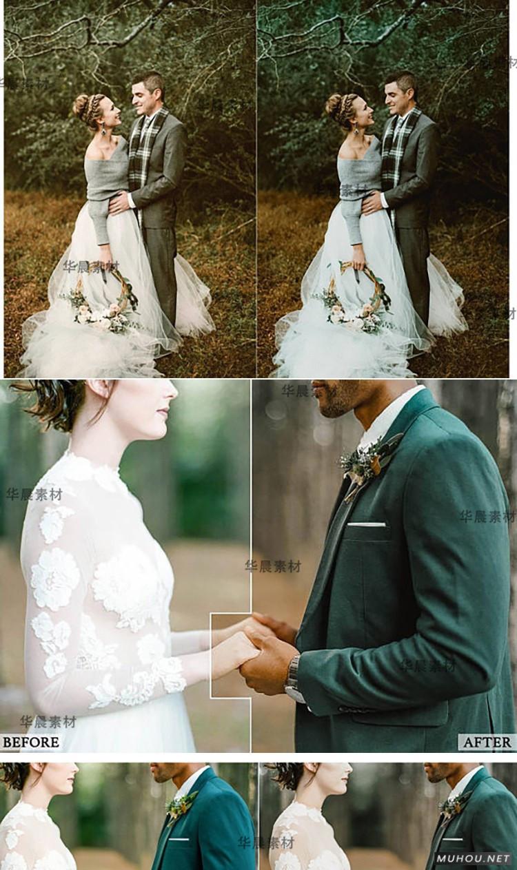 Luts调色预设：视频调色（LR-PR-AE-PS-FCPX-达芬奇）