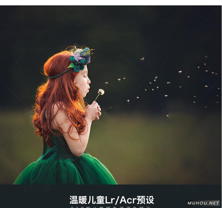 Luts调色预设：视频调色（LR-PR-AE-PS-FCPX-达芬奇）