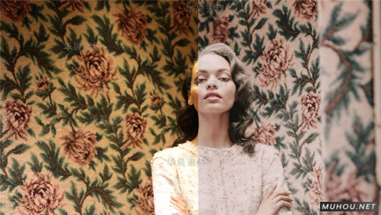 Luts调色预设：12条冷色调人像视频调色（LR-PR-AE-PS-FCPX-达芬奇）