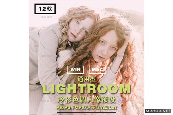 Luts调色预设：12条冷色调人像视频调色（LR-PR-AE-PS-FCPX-达芬奇）