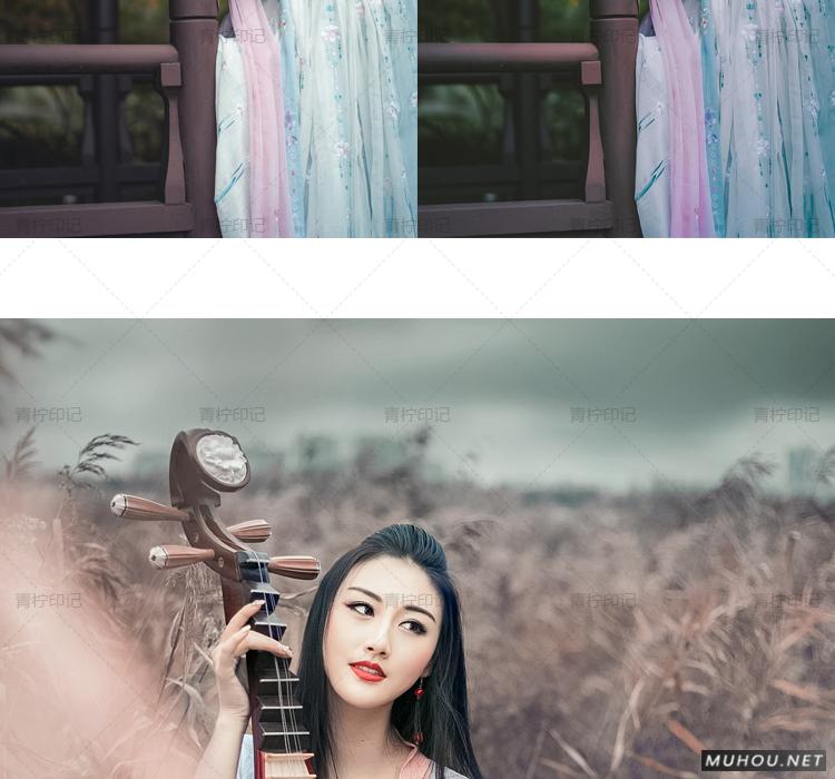 Luts调色预设：视频调色（LR-PR-AE-PS-FCPX-达芬奇）