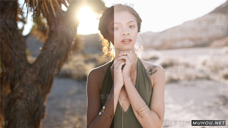 Luts调色预设：12条冷色调人像视频调色（LR-PR-AE-PS-FCPX-达芬奇）