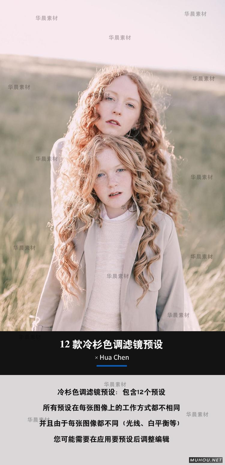 Luts调色预设：12条冷色调人像视频调色（LR-PR-AE-PS-FCPX-达芬奇）