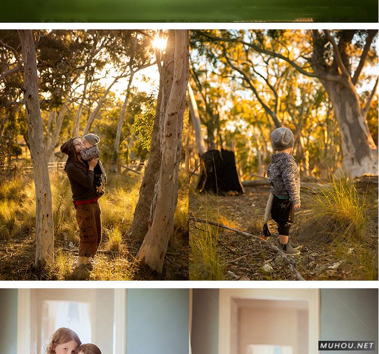 Luts调色预设：视频调色（LR-PR-AE-PS-FCPX-达芬奇）