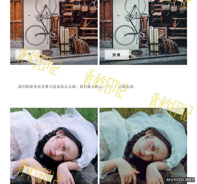 Luts调色预设：30组复古电影历史胶片预设视频调色滤镜（LR-PR-AE-PS-FCPX-达芬奇）